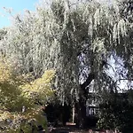 L' Abri Du Saule *
