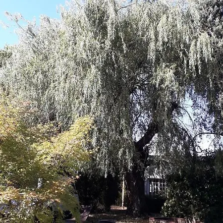 L' Abri Du Saule *