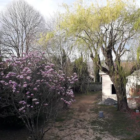 L' Abri Du Saule Semesterbostad Aussillon