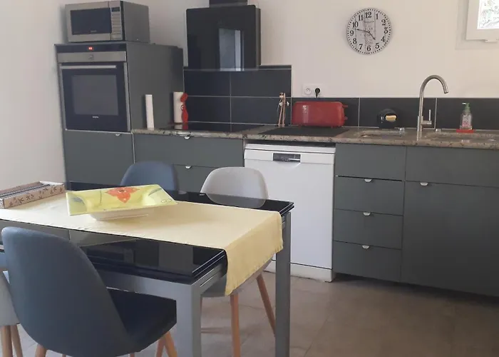 L' Abri Du Saule Tatil Evi Aussillon